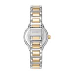 Dkny Everyday Two Tone Stainless Steel Bracelet DK1L110M0085