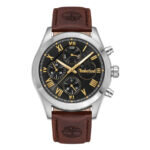 Timberland Ashmont Stainless Brown Leather Strap TDWGF0082601