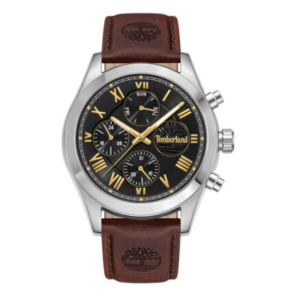 Timberland Ashmont Stainless Brown Leather Strap TDWGF0082601