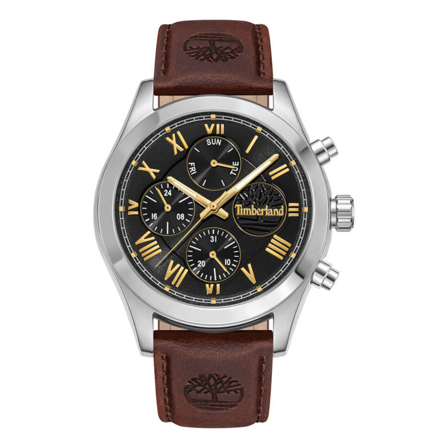 Timberland Ashmont Stainless Brown Leather Strap TDWGF0082601