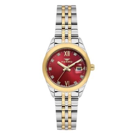 Ferro Crystals Two Tone Stainless Steel Bracelet FL21618AWT-D8